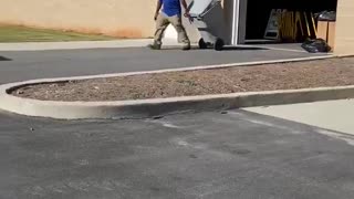 Shredding ballots in Cobb County Georgia Friday Morning.