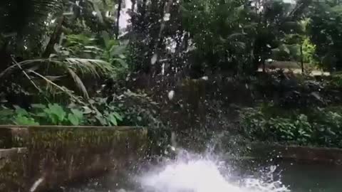 Boys enjoying jumping in water at home 2