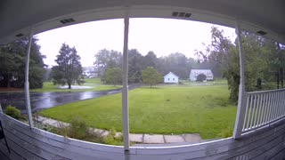 Neighbor's Tree Toppled by Storm