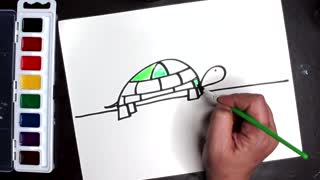 Tortoise or Turtle?