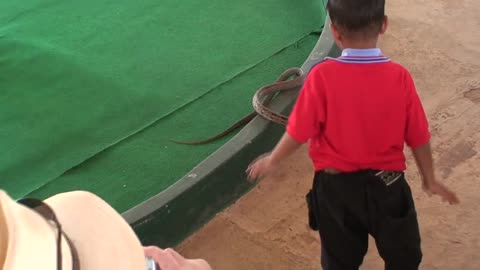 Talented Four-Year-Old Boy doing dangerous stunt with a snake ! horrible