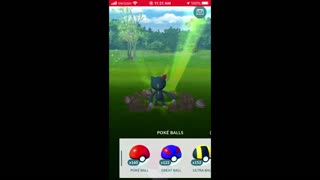 Pokemon Go - Sneasel Special Research Day