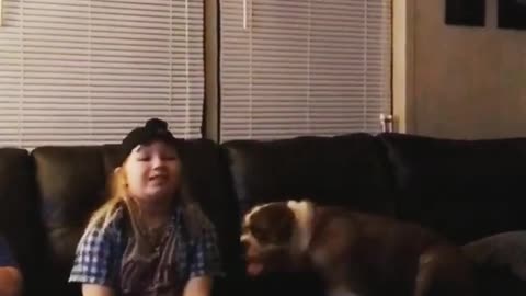 Collab copyright protection - bull dog tackles girl blue flannel