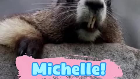 Michelle...😂 Oh Michelle... Where are you? The Motivating Beaver is looking for you