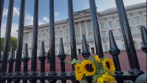 Mort d'Elizabeth II_ une foule devant Buckingham Palace pour voir l'avis officiel _ AFP Images