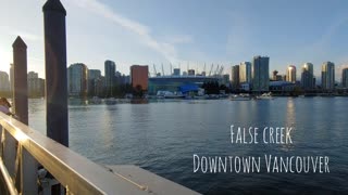 Downtown Vancouver and False Creek - City View