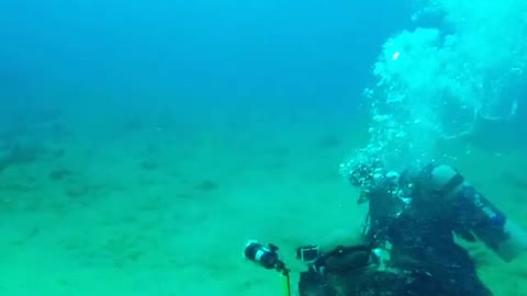 Experienced Divers Photographing Big Fishes Under Water