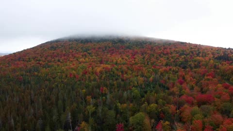 Maine Fall Foliage