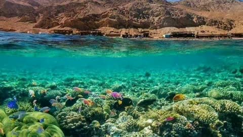 The magic of nature from Dahab
