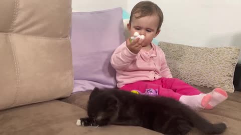 Cute_baby_and_little_cat_playing_together__Funny_video