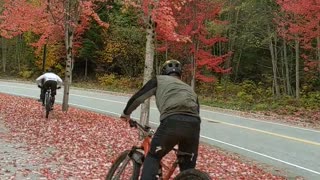 Extreme cyclist skids to an epic fall in beautiful fall scenery