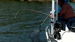 Fishing on the Tennessee River.