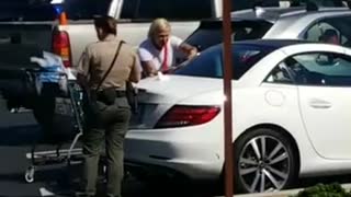 Woman Arrested After Leaving Her Dog in Car