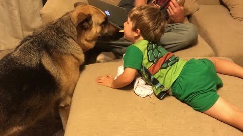 Little boy shares treat with German Shepherd