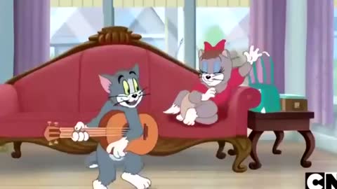 funny Tom & Jerry - Funny Funny