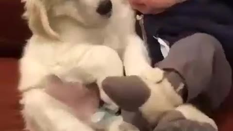 Cute baby with cute baby dog