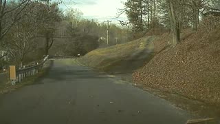 Tree Falls Right in Front of Car