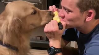 Man Shares Corn On The Cob With His Dog