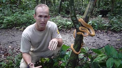 30 Interesting Animal Moments Filmed In The Amazon