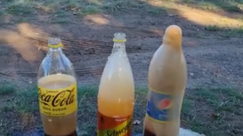 Coca Cola, Fanta, Sprite und Mentos 💥 | Experiment