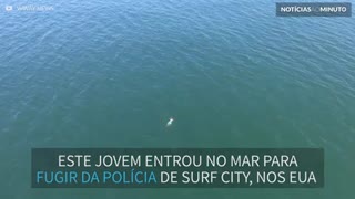 Suspeito se atira no mar para fugir da polícia e nada com tubarão