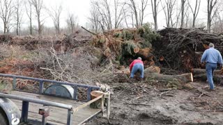 Cutting Firewood with the Hulk