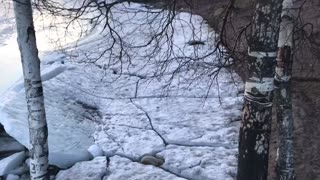 Amazing Nordic Winter Footage