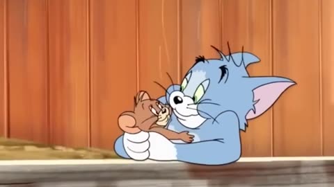 Tom and Jerry New Cartoons Compilation 2024 || Non Copyrighted Videos No Copyright - CC