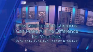 Medicinal Mushrooms Can Make All The Difference For Your Pets (Episode 40 Intro Clip)