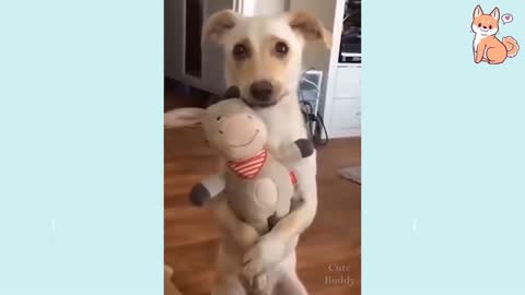 Cute Puppies Doing Cute Things To Make You Laugh PART5