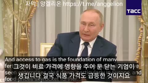 [자막] 러시아 푸틴 Putin 대통령 세계 경제 파탄 원인 분석