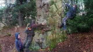 Roslin Glen Scotland Forest Date 💏 Bushcrafting Winter Walk Walk 👣/ Randka w lesie😉 01.2019