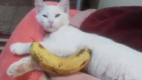 Never imagined his girlfriend in bananas