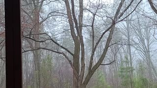 Loud rain on metal roof