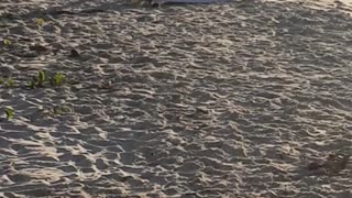 A man in black wet suit stretching on beach