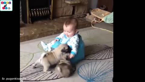 Sweet dog's reaction to adorable baby for the first time is priceless