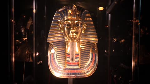 Never miss a vision of this beauty, King Tut