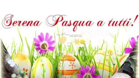 Buona Pasqua 🕊🐣🌿💕 #cestchic_aop_m_v