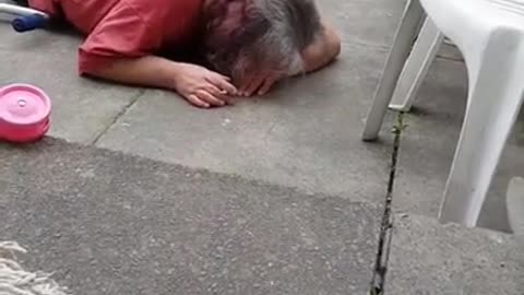 Grandad falls off scooter