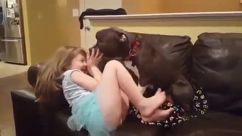 Pit Bull Shares Giggly Smooch Session With Little Girl
