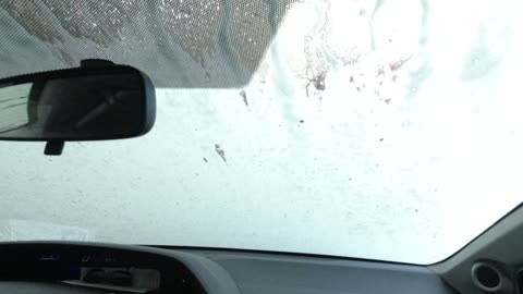 Getting the Car Washed