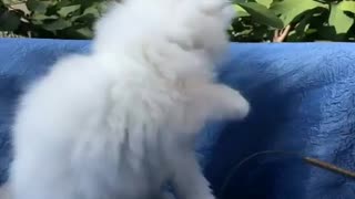 Playing with Caty OutDoors