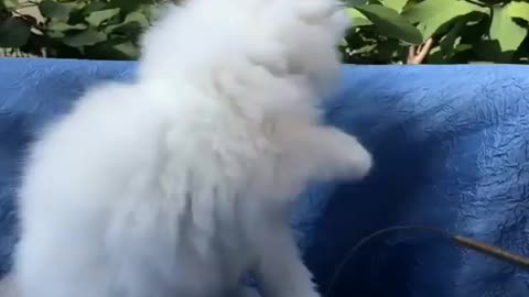 Playing with Caty OutDoors