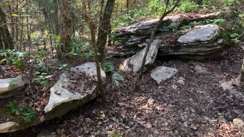 Waterfall @ Bethel Spring Nature Preserve Land Trust of Alabama