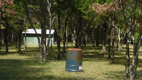 Barrels of fun #2, Camp Siman, Tiff, MO