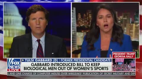 Tucker Carlson and Tulsi Gabbard Absolutely Demolish the Left's Denial of Basic Biology