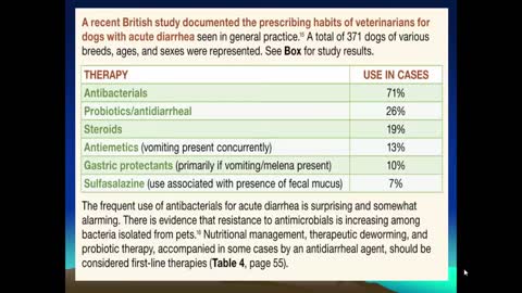 Proper treatment for Diarrhea in Dogs and Cats