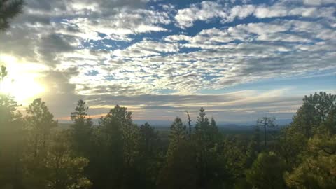 Sister Mary Catherine: My Way To The Mountain