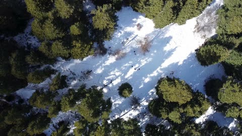 Exploring the Untouched Beauty of Nature with a Drone 4K