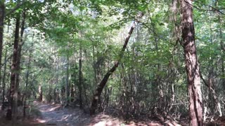 Raven Rock State Park North Carolina